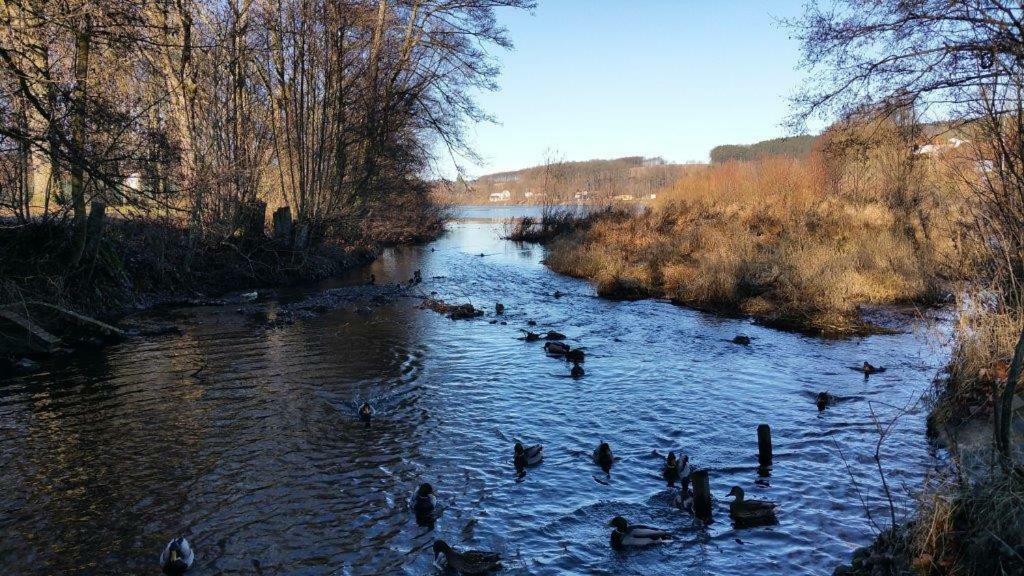 Ferienwohnung Am Sorpesee Allendorf  Εξωτερικό φωτογραφία